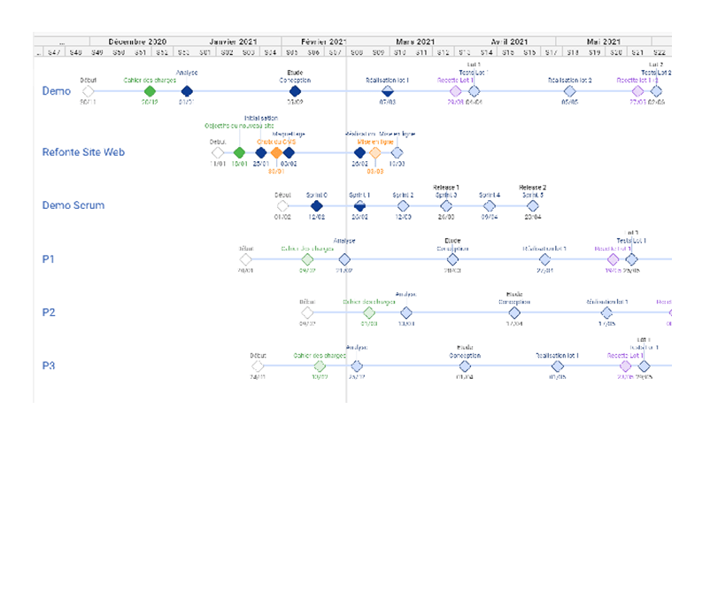 Gantt portefeuille de projets