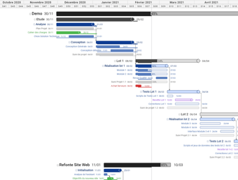 Gantt portfeuille de projets